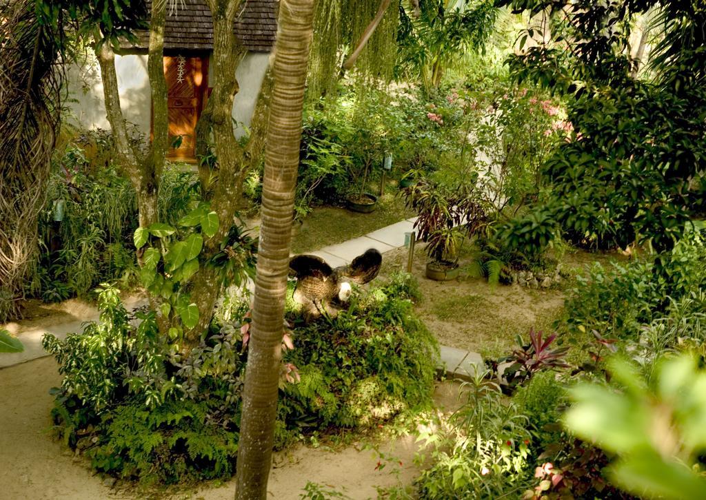 Hôtel Whistling Bird à Negril Extérieur photo