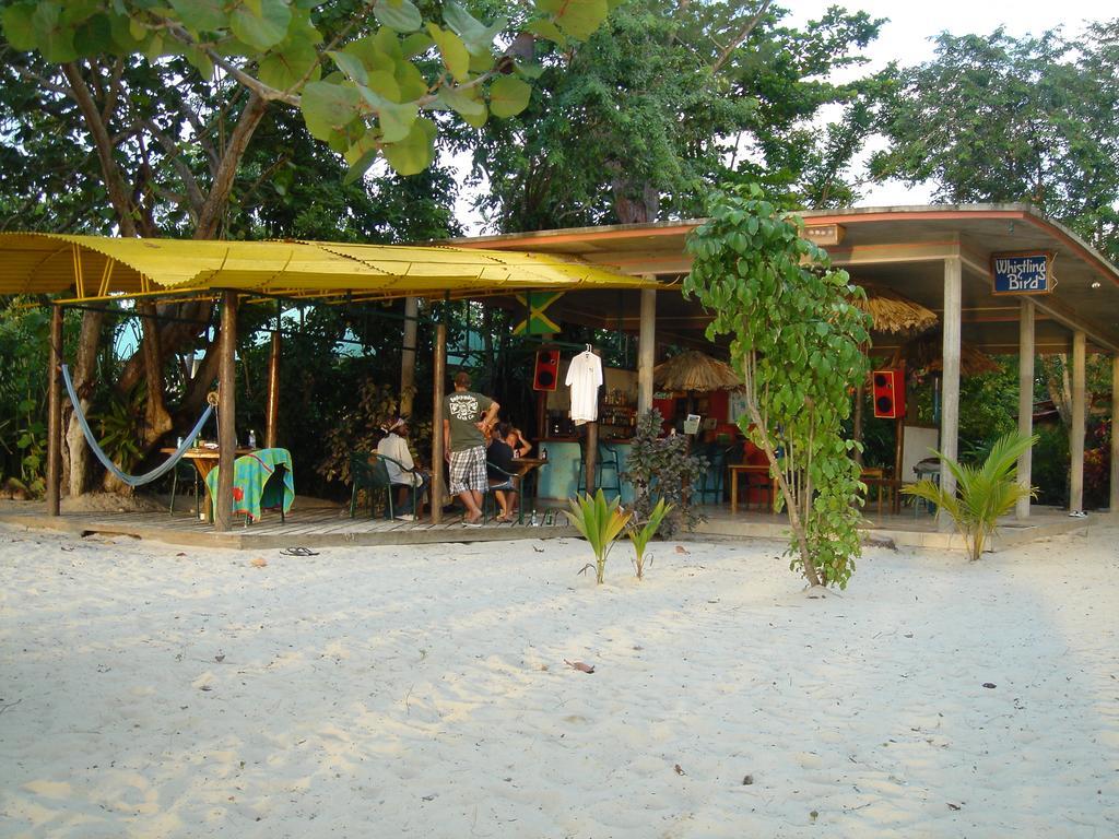 Hôtel Whistling Bird à Negril Extérieur photo