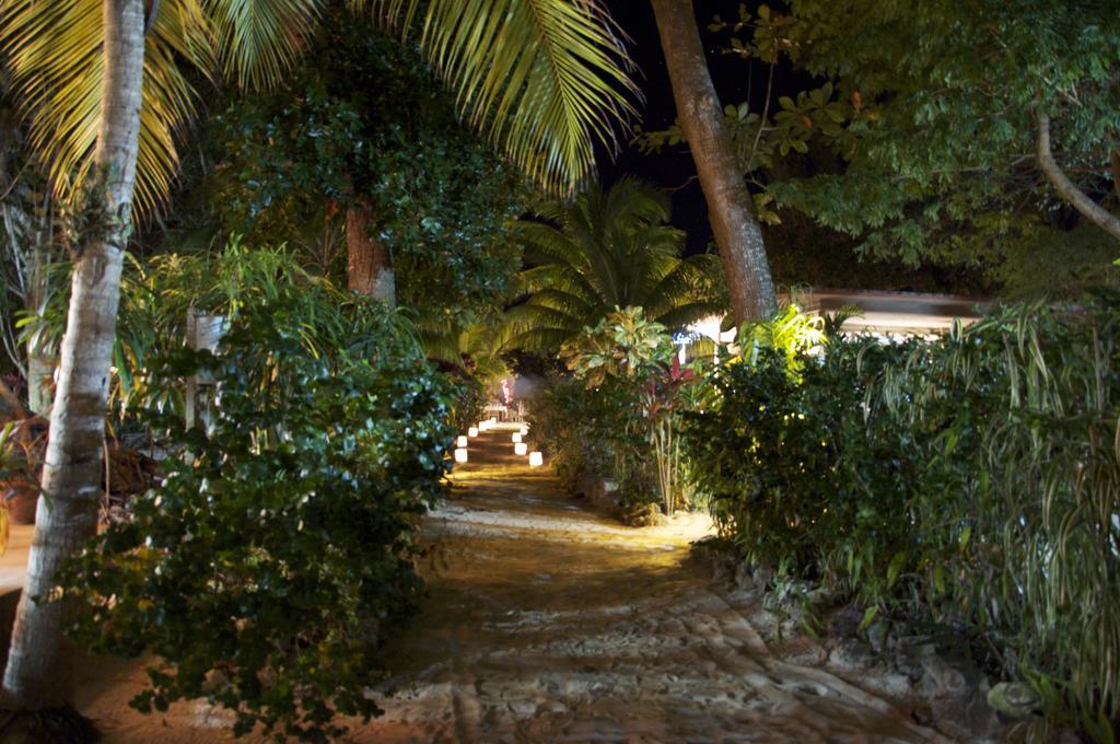 Hôtel Whistling Bird à Negril Extérieur photo