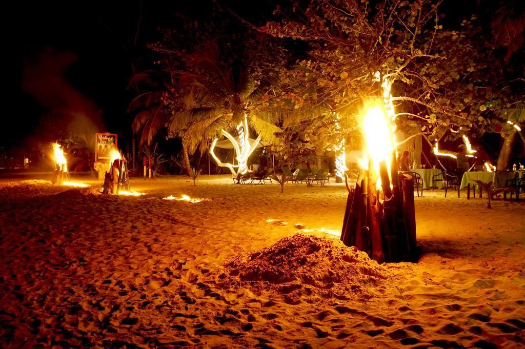 Hôtel Whistling Bird à Negril Extérieur photo